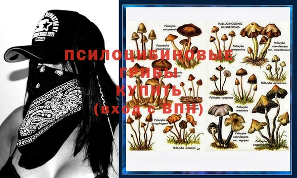 мескалин Няндома