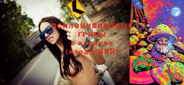 мет Осинники