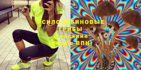 дживик Нягань