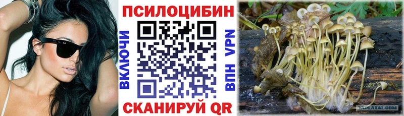 дарнет шоп Тырныауз Галлюциногенные грибы MAGIC MUSHROOMS